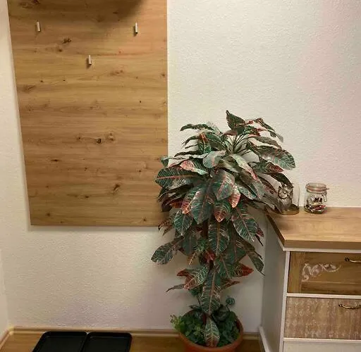 Appartement Cozy Dresden