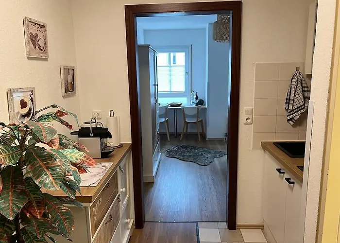 Cozy דרזדן